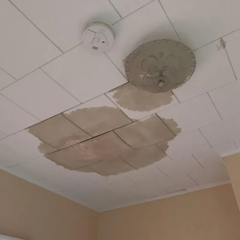 Ceiling Water Damage Repair in Coshocton, OH