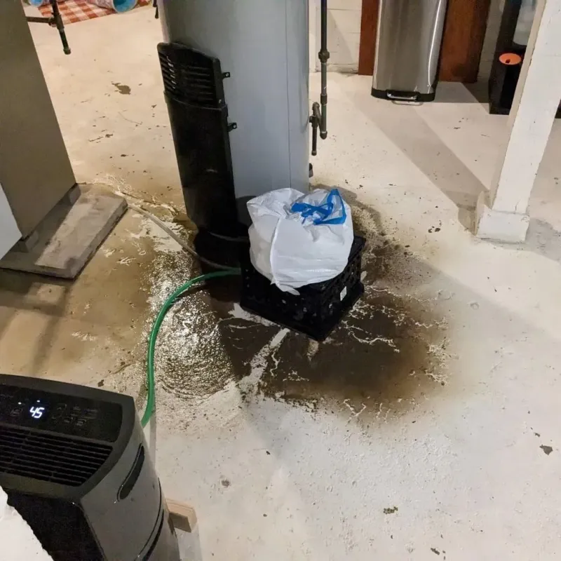 Sewage Backup Cleanup Service in Coshocton, OH